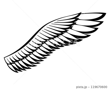 Wings sketch. Stylized birds wings. Hand drawn contoured stiker wing in open position. Vector design elements in coloring style 119670600