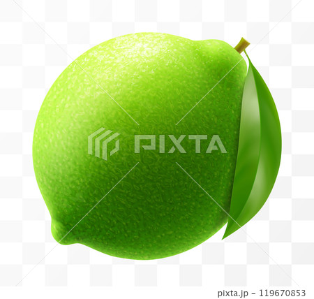Green ripe raw lime isolated on transparent background. Whole lime with a leaf, vibrant tropical plant, its textured shiny skin concealing zesty citric pulp within. Realistic 3d vector illustration. Green ripe raw lime isolated on transparent background. Whole lime with a leaf, vibrant tropical plant, its textured shiny skin concealing zesty citric pulp within. Realistic 3d vector illustration. 119670853