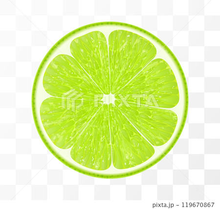 Slice of lime fruit, isolated on transparent background. Vibrant tropical plant, exude freshness and zesty burst, promising a tangy flavor in every piece. Realistic 3d vector illustration. 119670867