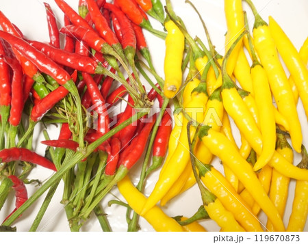 唐辛子 唐辛子 119670873