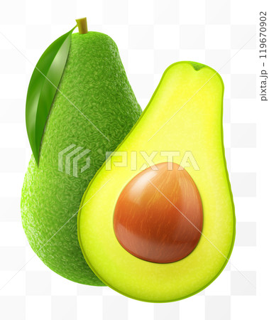 Fresh fruit avocado isolated on transparent background. Whole and halved avocado with bone. Green avocado for healthy eating. Realistic 3d vector illustration. Fresh fruit avocado isolated on transparent background. Whole and halved avocado with bone. Green avocado for healthy eating. Realistic 3d vector illustration. 119670902