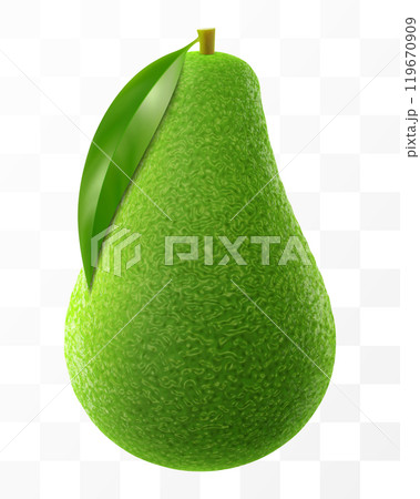 Fresh fruit avocado isolated on transparent background. Realistic 3d vector illustration. Green avocado for healthy eating. Fresh fruit avocado isolated on transparent background. Realistic 3d vector illustration. Green avocado for healthy eating. 119670909