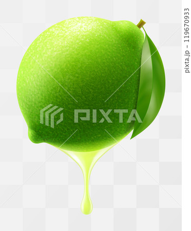 Lime juice dripping from fresh ripe lime, isolated on transparent background. Green ripe lime with fresh juice. Bright summer tropical design. Realistic 3d vector illustration Lime juice dripping from fresh ripe lime, isolated on transparent background. Green ripe lime with fresh juice. Bright summer tropical design. Realistic 3d vector illustration 119670933