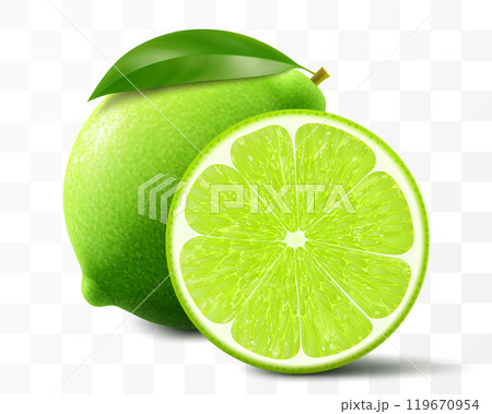 Green lime isolated on transparent background. Whole lime and slice of fruit, vibrant tropical plant, its textured shiny skin concealing zesty citric pulp within. Realistic 3d vector illustration. 119670954