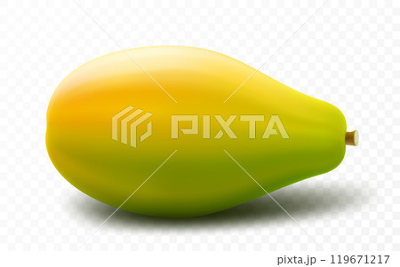 Ripe Papaya, whole juicy fruit papaya, isolated on transparent background. Tropical, exotic fruit. Realistic 3d vector illustration. 119671217