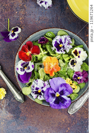 Colorful edible flower salad. Colorful edible flower salad. 119671264
