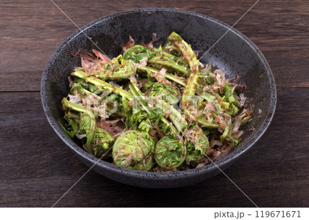 深皿に盛ったコゴミのおひたしのアップ 119671671