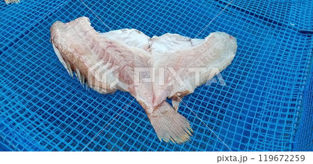 セトダイの干物 セトダイの干物 119672259