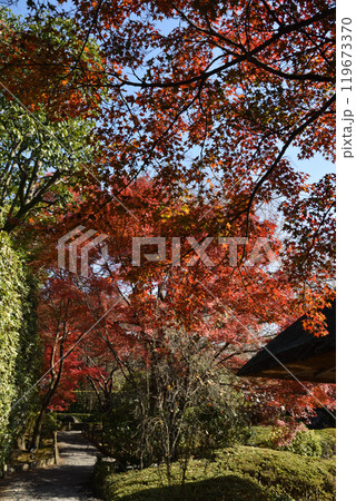 妙心寺塔頭退蔵院　庭園「余香苑」　秋季 119673370