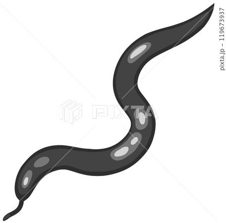 ニューギニアヤリガタリクウズムシ 119673937