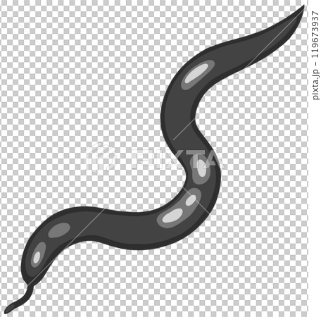 ニューギニアヤリガタリクウズムシ 119673937