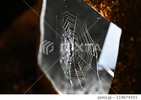 八幡掘りまつり 119674501