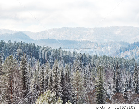 Winter landscape of Fir Tree Forest in Mountains. Christmas Landscape Background. Change of seasons from autumn to winter in Europe Mountains. Rich Forest with various green trees 119675108