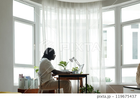 Working in Modern Office with Natural Light Streaming Working in Modern Office with Natural Light Streaming 119675437