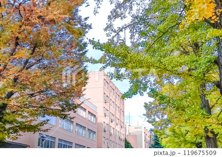 大学の校舎　(山形大学) 119675509