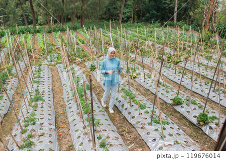 A Gardener Diligently Tending to Rows of Fresh Green Vegetables in a Sunny Field 119676014