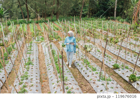 An elderly gardener meticulously tending to vibrant plants in a serene garden landscape 119676016
