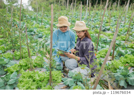 Farmers are working together on sustainable agriculture in a leafy green field 119676034
