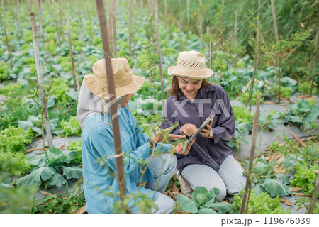 Two Farmers Diligently Examining Plants in a Lush and Thriving Vegetable Garden 119676039