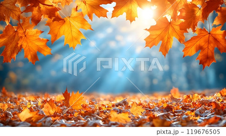 Fall panoramic Thanksgiving header with golden maple leaves, sunlight, and clear blue sky, perfect for banners 119676505