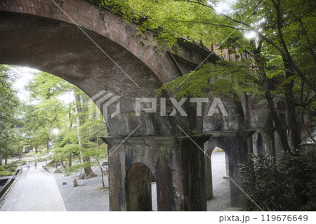 水路閣と青もみじ7 119676649