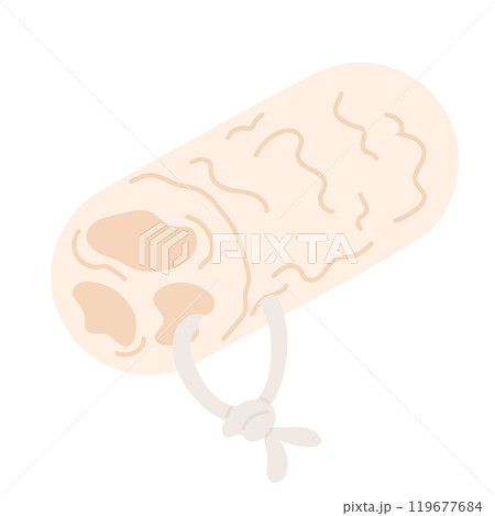 Loofah sponge for shower, bath. Bathroom, sauna items. Cartoon flat illustration. Vector illustration 119677684