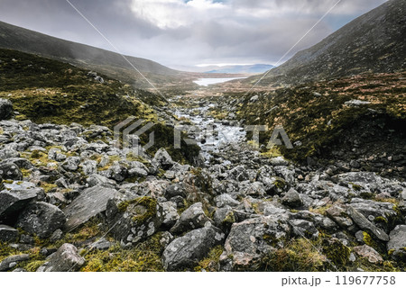 A rocky mountain valley with a small stream running through it towards a lake in the distance. The sky is overcast. The slopes are covered with grass and small shrubs. 119677758
