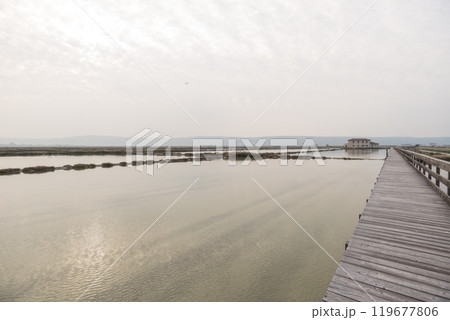 Secovlje Salt Pans 119677806
