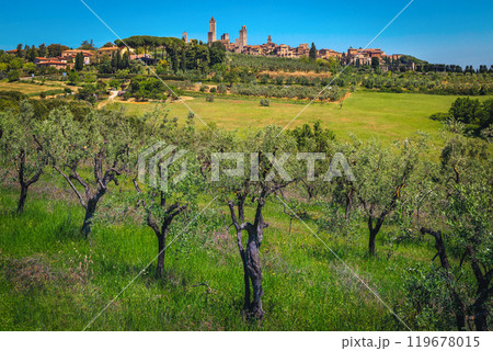Amazing San Gimignano view from the olive trees Tuscany, Italy Amazing San Gimignano view from the olive trees Tuscany, Italy 119678015