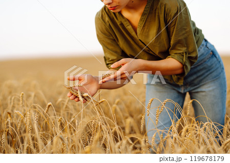 Young woman farmer walking across field and running her hand through golden ears of wheat harvest. 119678179