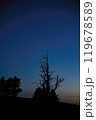 Silhouette of trees against a starry night sky landscape 119678589