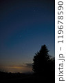 Majestic night sky with stars over a tranquil forest landscape 119678590