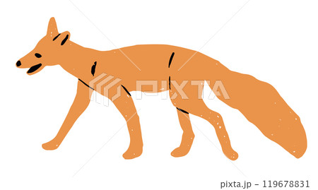 Cute Cartoon Sneaking While Hunting Fox Vector Illustration Isolated on White Background 119678831