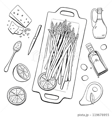 Hand drawn roaster asparagus and ingredients for food recipe. Citrus, half, slice, lemon, cheese, olive oil, knife, spoon. Outline vector sketch illustration. Hand drawn roaster asparagus and ingredients for food recipe. Citrus, half, slice, lemon, cheese, olive oil, knife, spoon. Outline vector sketch illustration. 119678955
