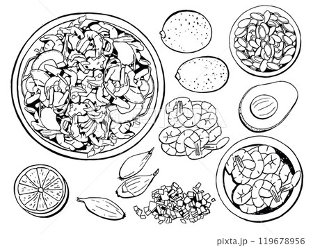 Shrimp and Avocado Salad Food Ingredients for Cooking Recipe. Vector Sketch Illustration Set 119678956