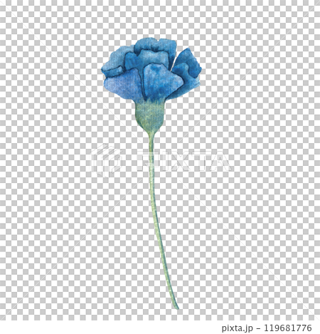 Watercolor illustration of a blue flower with soft, delicate petals. Ideal for floral designs, nature inspired projects, or decoration. Perfect for invitations, greeting cards, and seasonal artwork 119681776