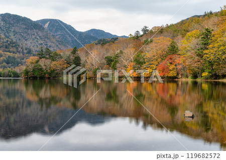 深まる奥日光の紅葉風景 深まる奥日光の紅葉風景 119682572
