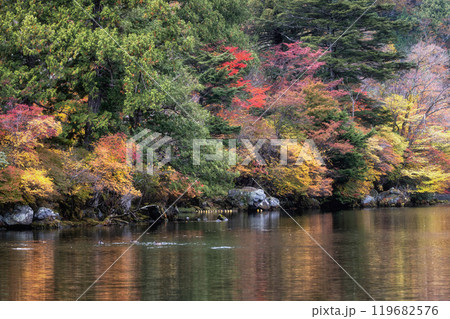深まる奥日光の紅葉風景 119682576