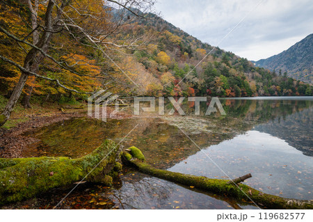 深まる奥日光の紅葉風景 119682577