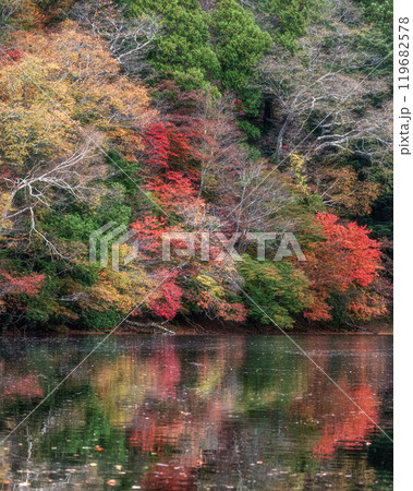 深まる奥日光の紅葉風景 119682578
