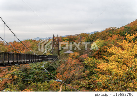 栃木県 那須岳周辺の紅葉風景 栃木県 那須岳周辺の紅葉風景 119682796