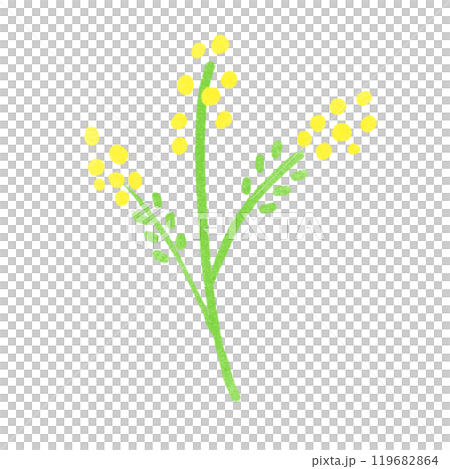 郵票風格含羞草插圖 119682864