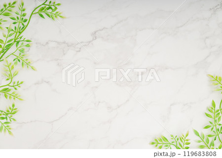 大理石調のボタニカルフレーム｜グリーン 119683808