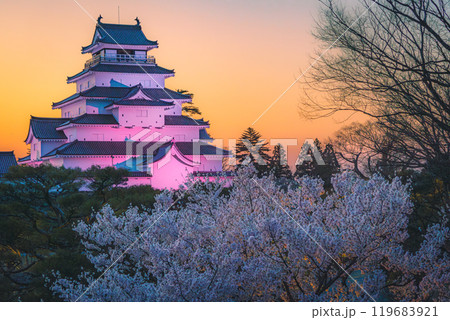 夕暮れに桜色に染まる鶴ヶ城 119683921