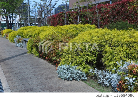マンションの公開空地、植栽緑化の一例 マンションの公開空地、植栽緑化の一例 119684096