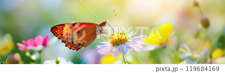 A butterfly is resting on a flower 119684169