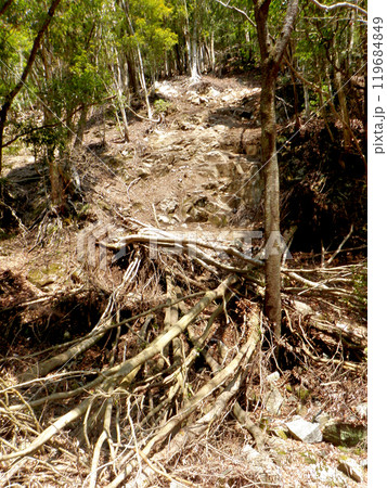 枯れた沢の小さな崩落跡 119684849