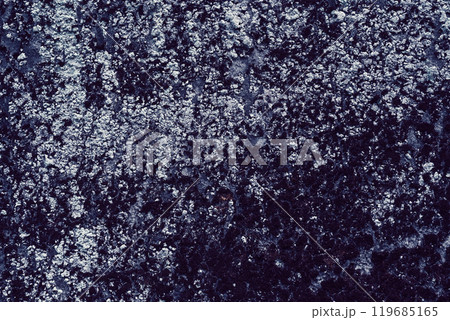 樹皮 樹皮 119685165