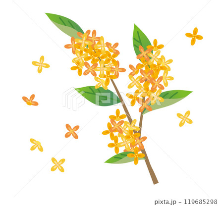 枝と葉っぱ付き金木犀 枝と葉っぱ付き金木犀 119685298
