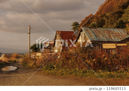 【風景写真】夕方　色づく　廃墟　函館市入舟町　秋・10月末　ちょっとセンチメンタル 119685513
